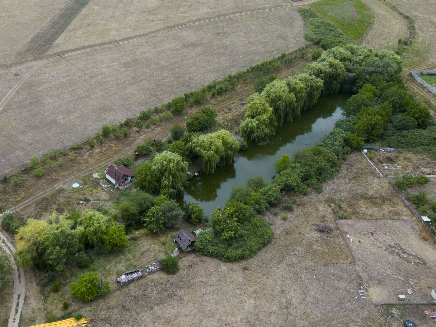 Teren de 7900 mp cu baltă de pescuit în Frumușeni - Poză 7