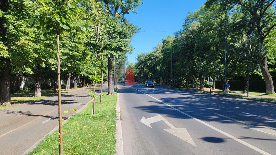 Arcul De Triumf - Soseaua Kiseleff - Poză 2