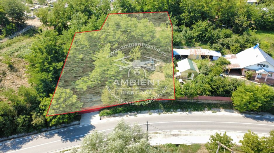 TEREN 1.200 mp în BRODOC - NATURĂ, INTIMITATE ȘI ACCES DIRECT LA ASFALT; - Poză 8