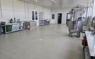 De Vânzare Afacere La Cheie ( ARAD) - Poză 9