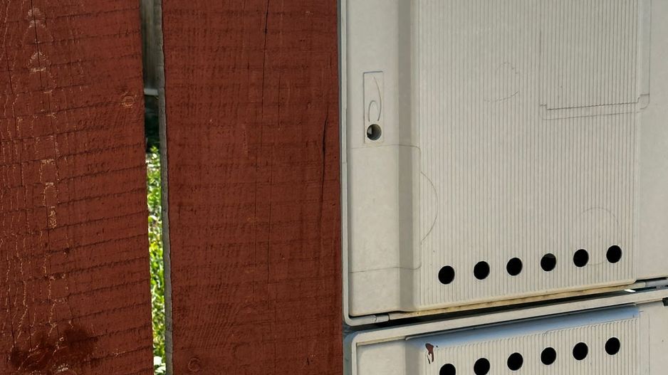 Casa tip duplex in Stupini - Poză 17