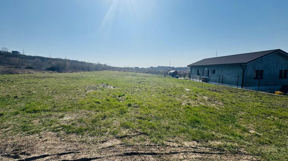 Teren Intravilan 1000 mp Dealuri - Oradea - Poză 3