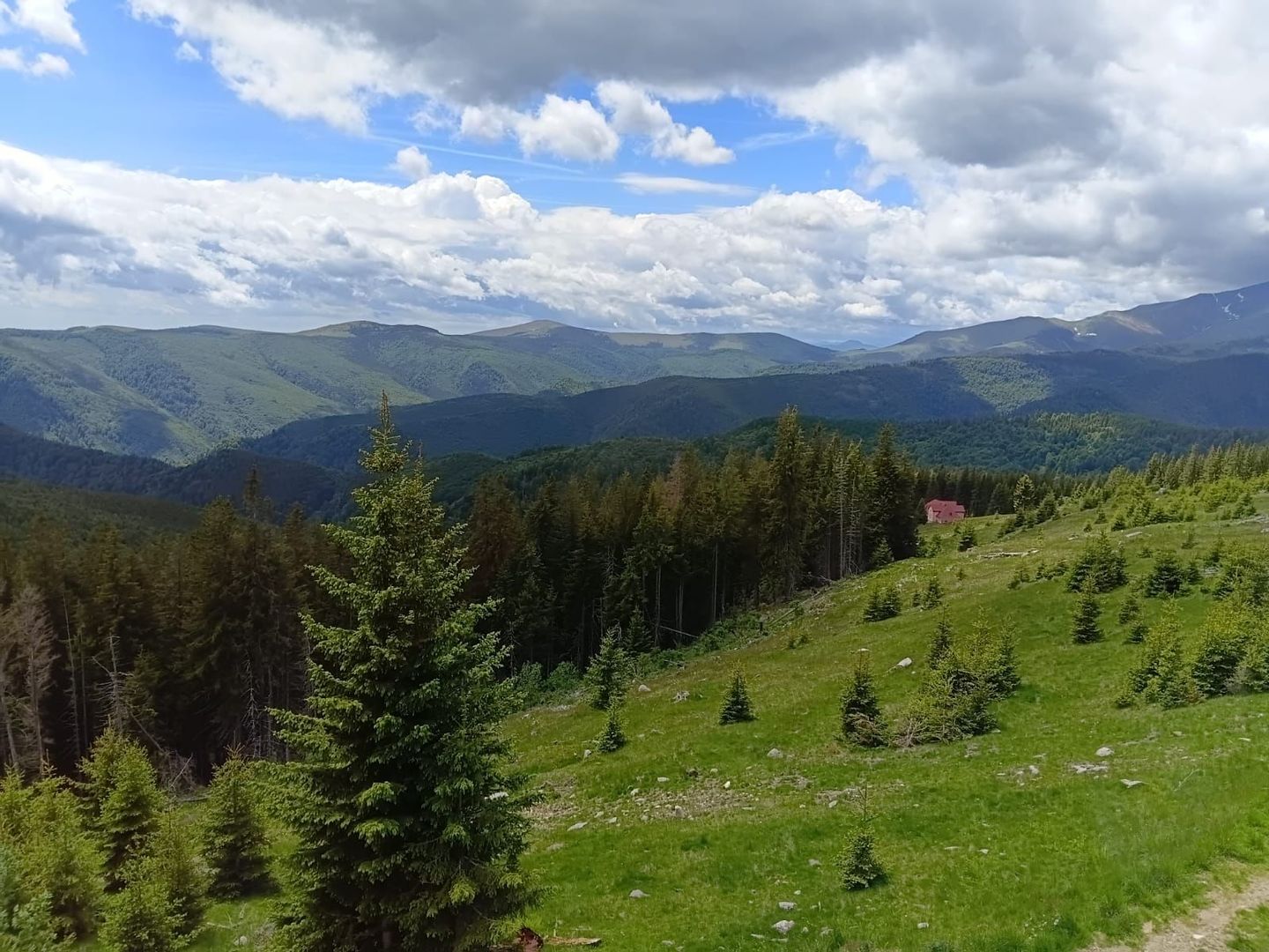 Cabană P+M de vânzare în Rânca - Poză 26