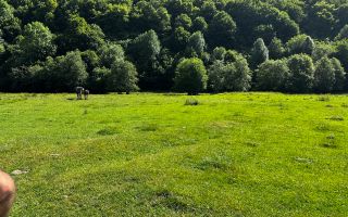 2 Loturi a 2124+2744mp Barsa Fierului / Plaiul Foii - Poză 10