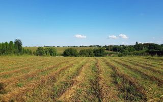 Teren intravilan – Adunatii Copaceni | 3.399 mp | Ideal investitie - Poză 6