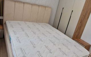 Apartament 3 camere Parter Lipovei 68mp - Poză 2