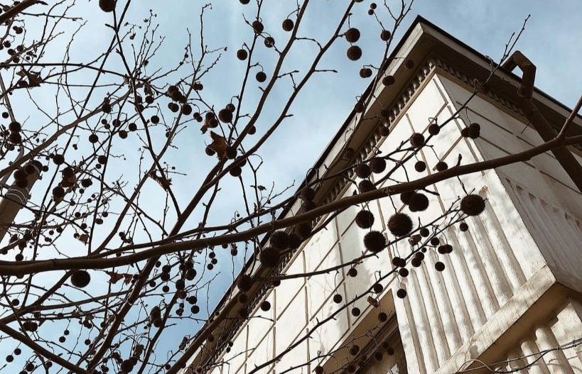 Vila cu terasa si curte de inchiriat (ideal firma), Parcul Carol - Unirii - Poză 13