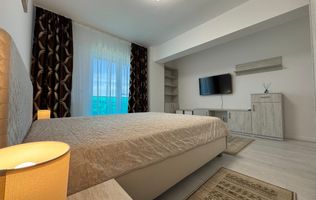 Apartament 1 camera Bucium Mega Image