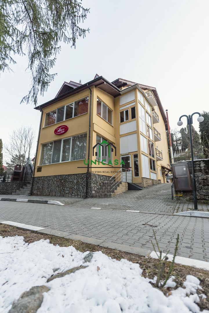 Pensiune - Baile Olanesti - Zona Centrala - Poză 27