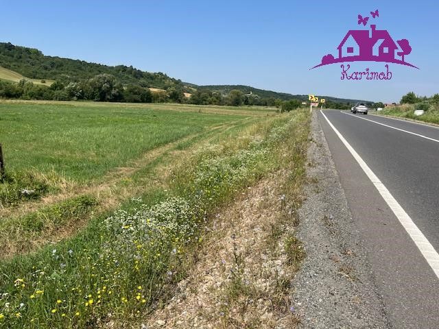 Teren intravilan Hidiselul de Sus - Poză 5