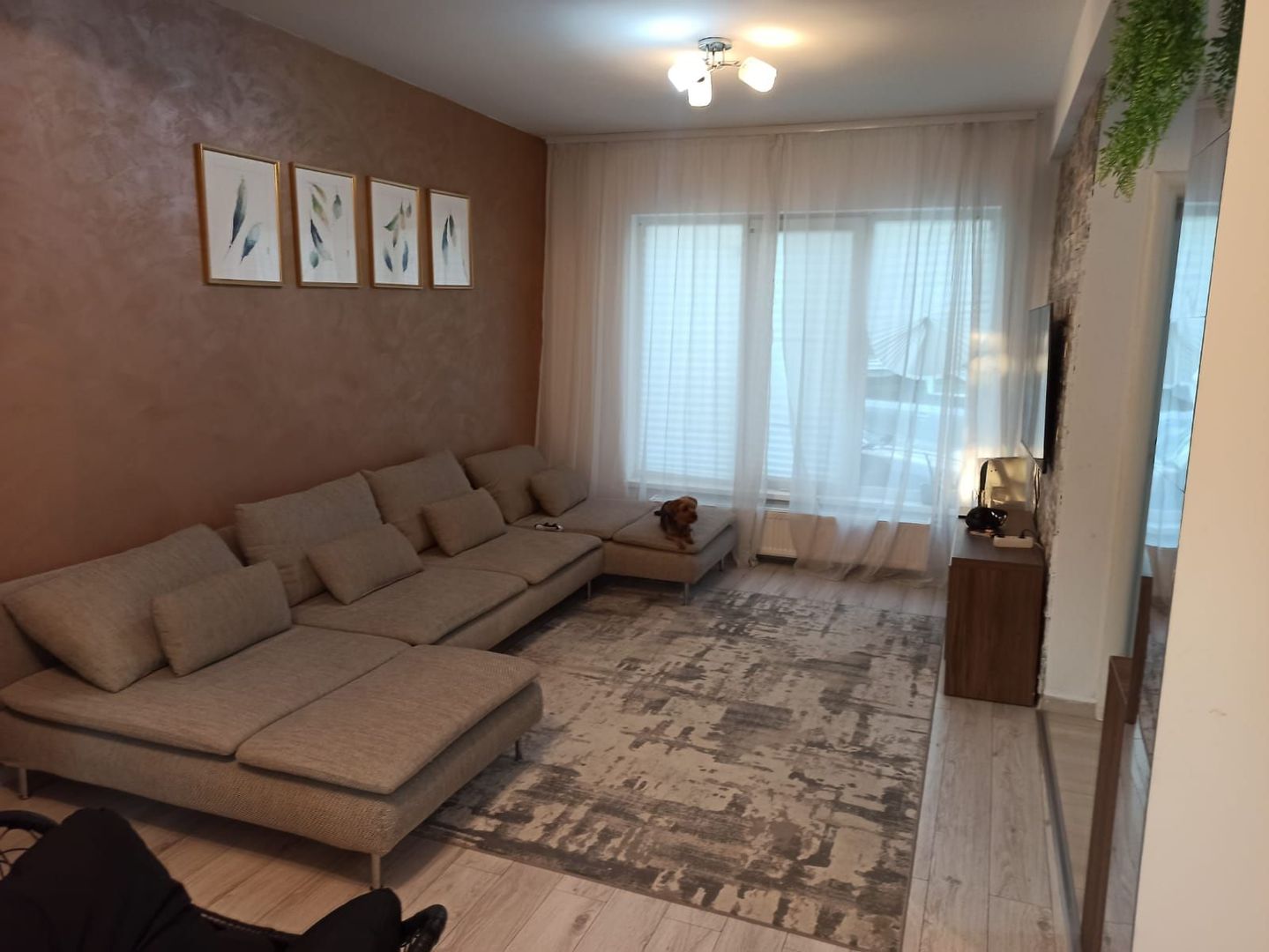 vila4cam2bai-curte-parcare-loc joaca-acces controlat-strOrizontului - Poză 22