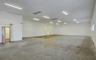 HALĂ DEPOZITARE / PRODUCȚIE DE ÎNCHIRIAT – 245 MP - Poză 4