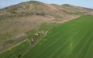 Oportunitate Investiție – Fermă 9,5 Ha cu 10.000 mp Construcții - Poză 5