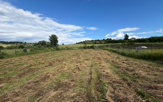 Teren intravilan 1750 mp | Hamba, Sibiu | utilități pe teren - Poză 1