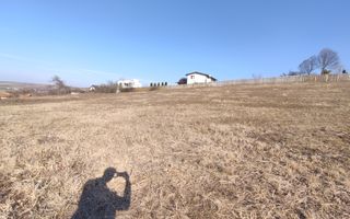 Teren de vanare | 800 mp | Colonia Sopor - Poză 4