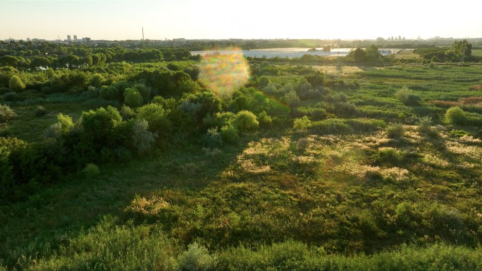 5000mp INTRAVILAN lângă BALTA FLOAREA POPEȘTIULUI - Poză 4