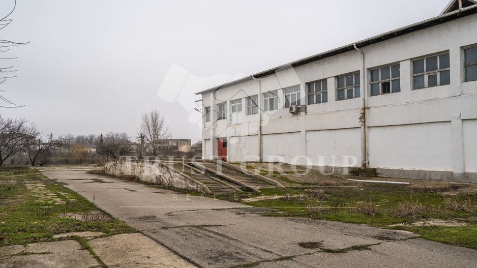 Teren 28.788m + Hale industriale + Sediu Firma - Poză 38