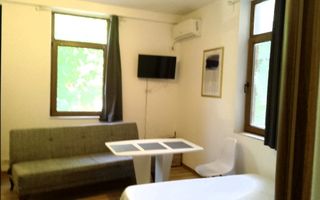 Piata Unirii_IN VILA_Apartament | 2 GARSONIERE individuale - Poză 1