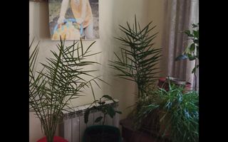 Casa cu personalitate in Calomfirescu – spatiu, liniste si teren gener - Poză 20