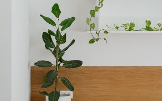 Premium 4-Room Apartment - for Rent – Jandarmeriei - Băneasa - Poză 33