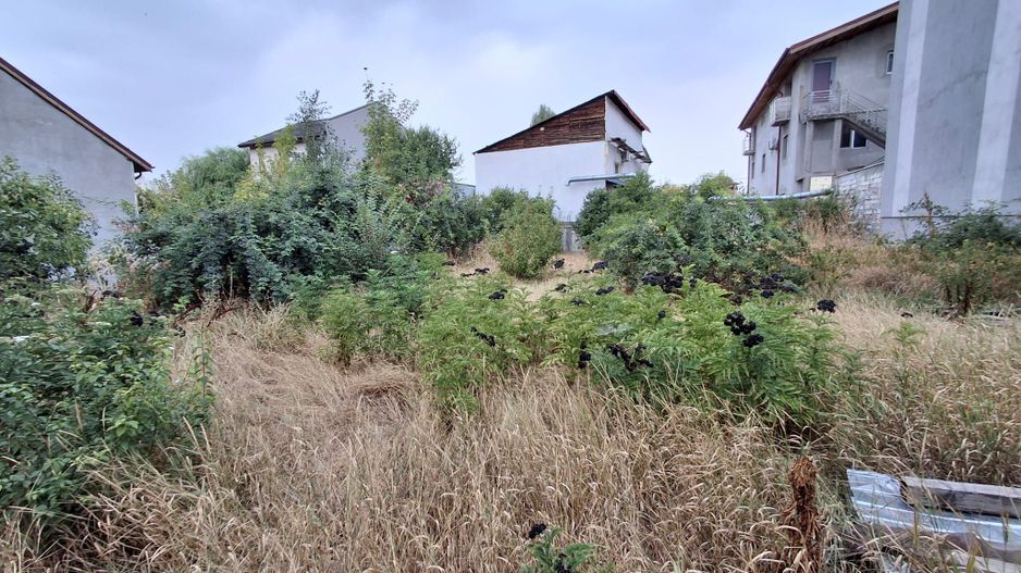 Teren de vanzare - zona Maior Colentina - Poză 12