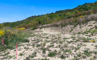 Corunca - 650 mp cu PUZ - zona superba si linistita - Poză 3