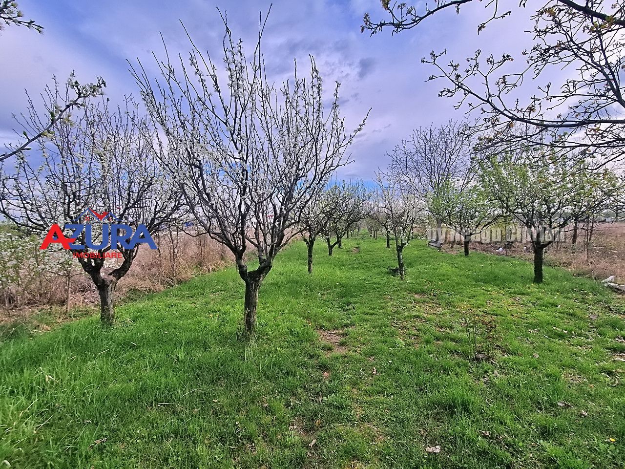 AZURA Imobiliare - Casa Prundu Bananai - Poză 3