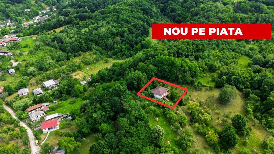  Proprietate de poveste în Corbi, Argeș - Doua case si 6300 mp teren intravilan - Poză 1