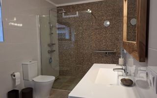 Casă complet renovată de vânzare în Amnaș – la doar 25 km de Sibiu! - Poză 29