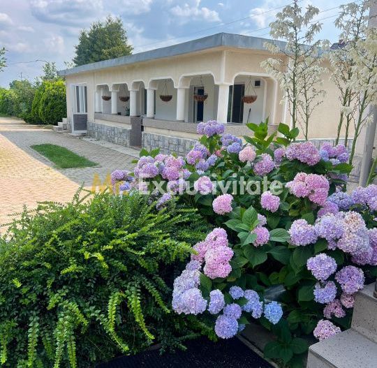 Casa visurilor cu 4000 mp livada roditoare si gradina Darmanesti-Arges - Poză 27