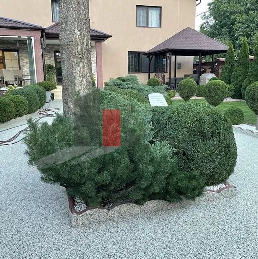 Vilă de lux de închiriat – ideală pentru afaceri - Poză 3