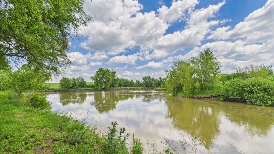 Teren cu baltă- oportunități multiple la Fibiș - Poză 19