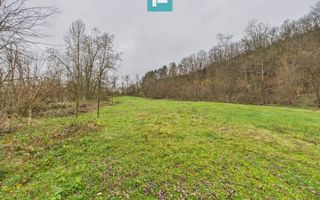 Casă cu teren de 24.679,73 mp, în Hălmagiu, Arad - Poză 21