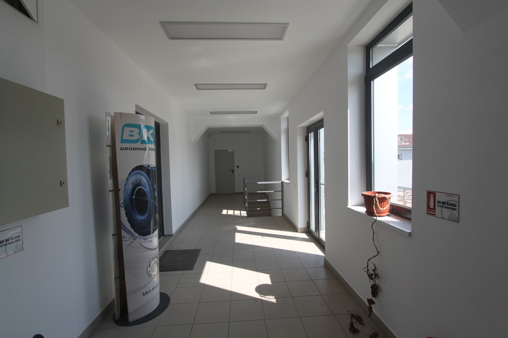 Spațiu industrial la sosea: Dumbravita - Giarmata - Poză 6