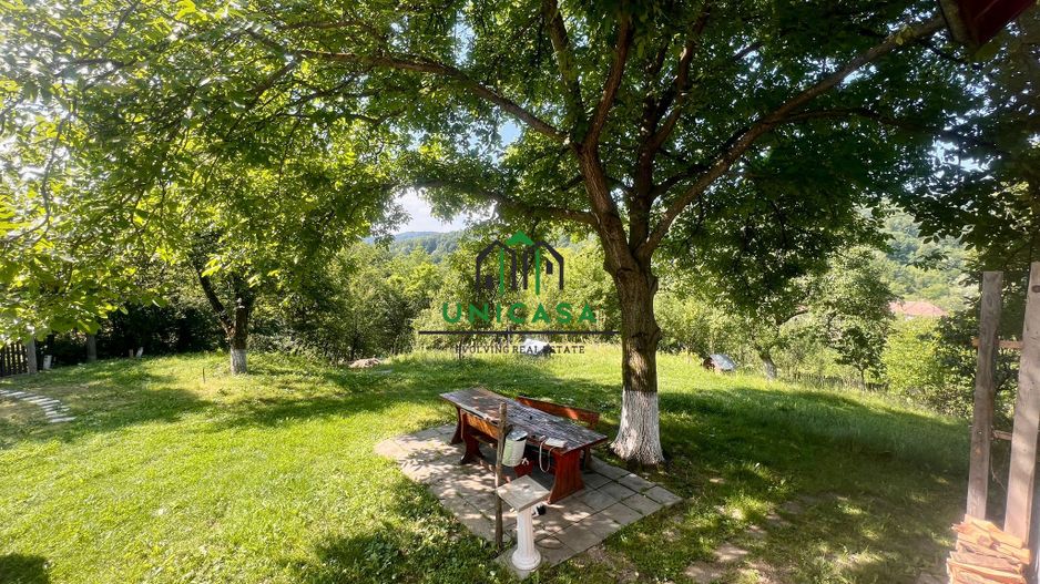 Casa cu teren generos 2919 mp/ Sat Andreesti / Comuna Mueresca - Poză 14