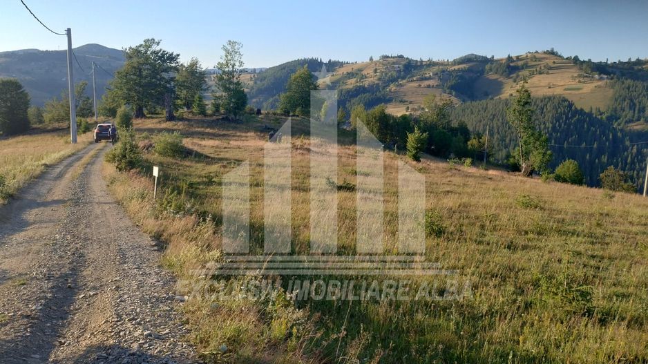 Teren pretabil constructie cabane in Garda de Sus - Poză 4