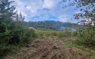 Teren de vanzare Jelna | 40 ari | Extravilan - Poză 3