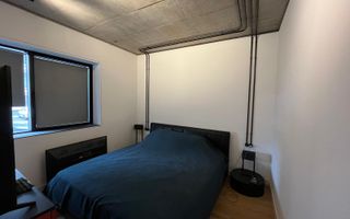 Apartament 2 camere / Brick Lofts / Vedere Lac - Poză 5