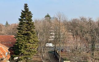 Resedinta de lux / *Kiseleff* - Poză 72