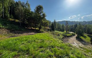 18000 mp de natura pura ,Lupeni, langa Straja - Poză 13