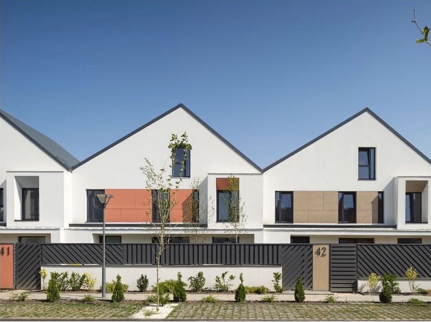 CATTED FAMILY - Poză 3