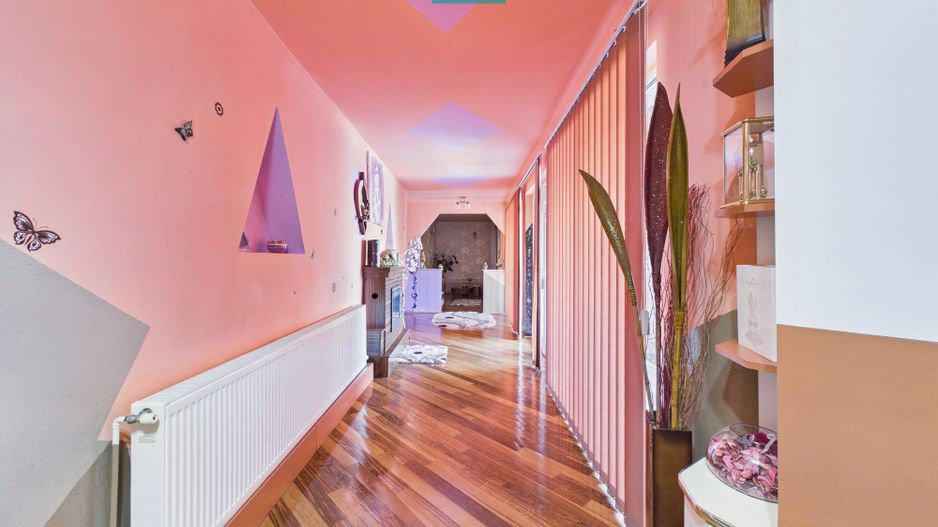 Casa cu potential multiplu in Curtici - Poză 14
