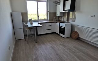 Apartament 2 camere de inchiriat in Visoianu, Dorobant - Poză 4