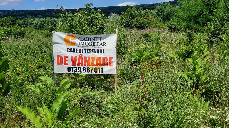 🌳 🌞🌿 TEREN INTRAVILAN OSOI 2800 mp - 49.999 Euro ! 🌳🌞🌿 - Poză 3