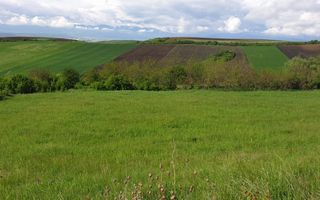 Teren | S+P+E | S+P+M | Intravilan | 9826 MP | Sura Mare - Poză 1