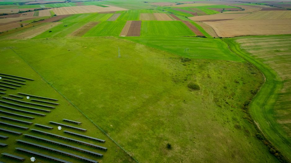 Teren 5383 mp în Frumușeni - Poză 3