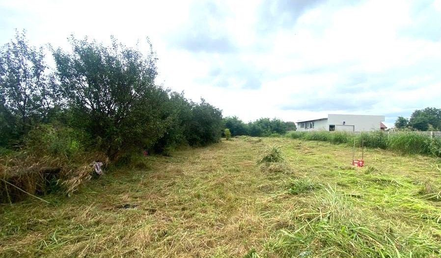 Terenuri de vânzare Costeiu - Poză 3