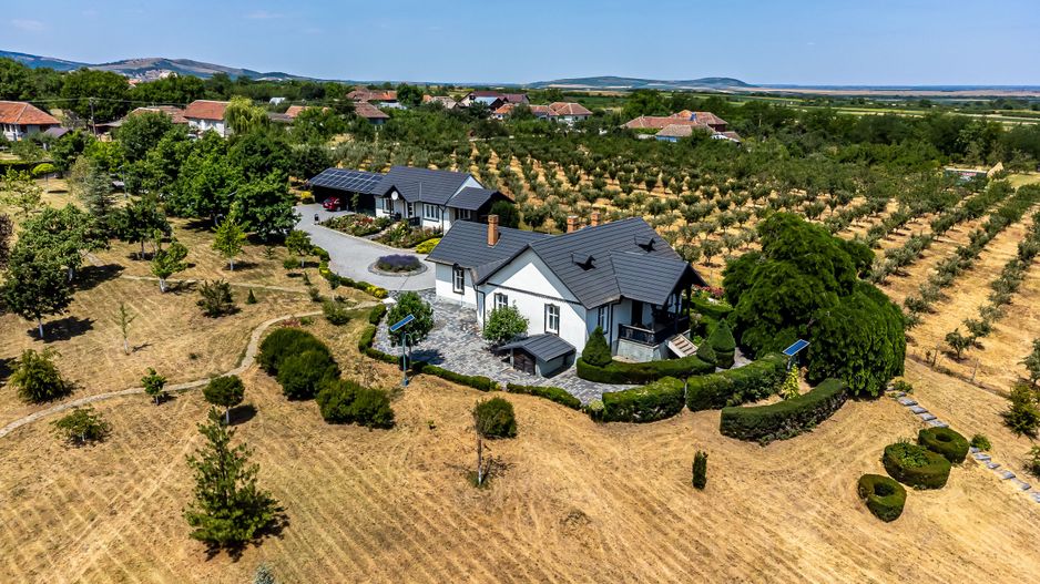 Visezi la o proprietate unică, plină de istorie și farmec? - Poză 1