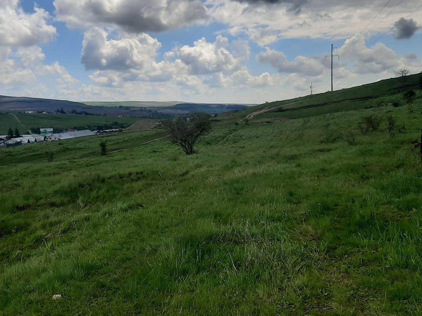 Teren in Valcele - Poză 8