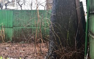 Sanctuar de Epocă: Reședință Grandioasă cu 10 Camere, Turn și Grădină - Poză 24